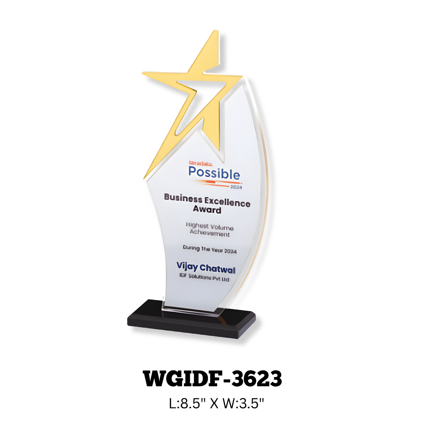 Acrylic Trophy-WGIDF-3623