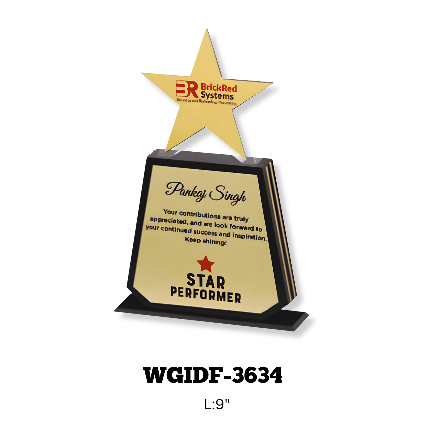 Acrylic Trophy-WGIDF-3634