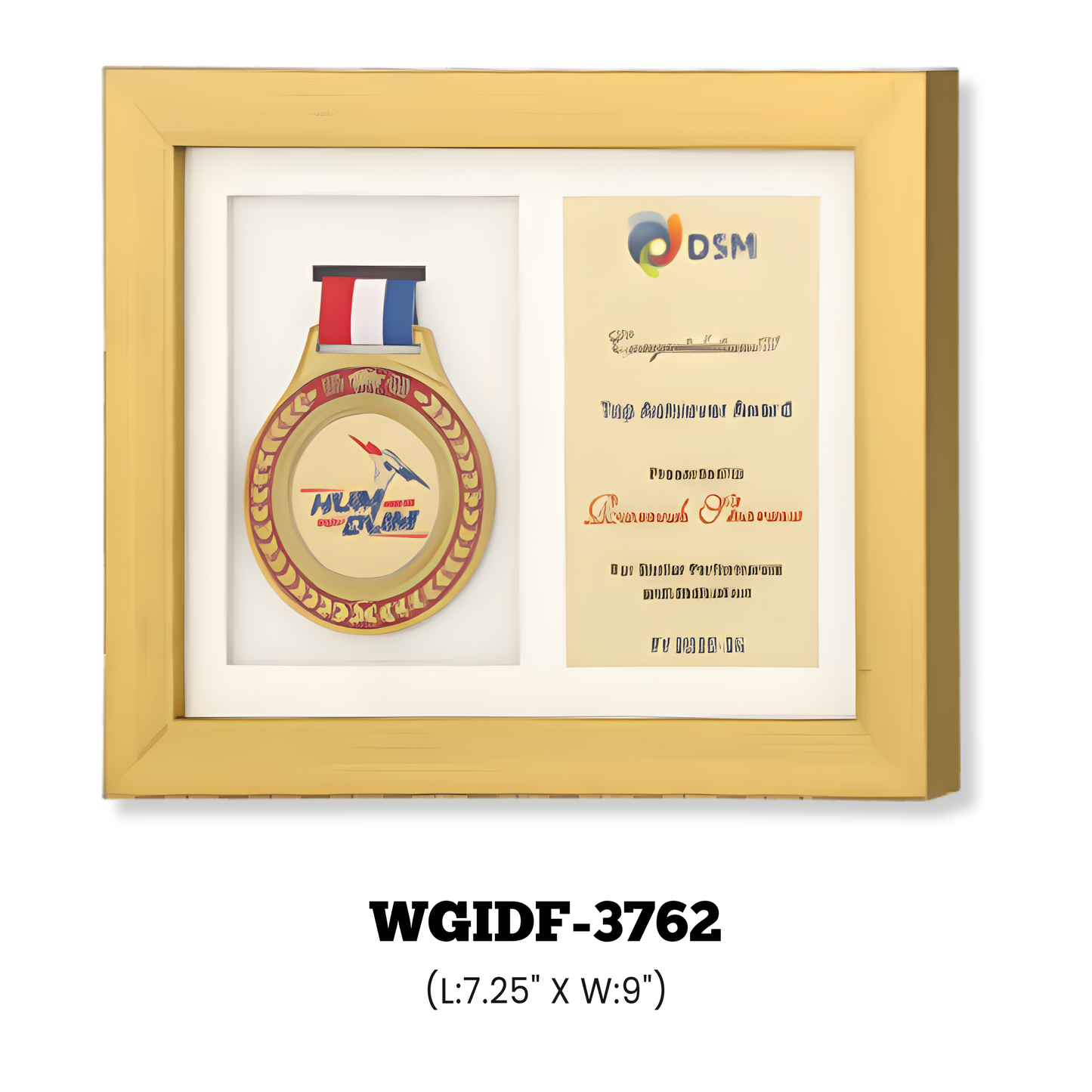 Momentos & Plaques-WGIDF-3762