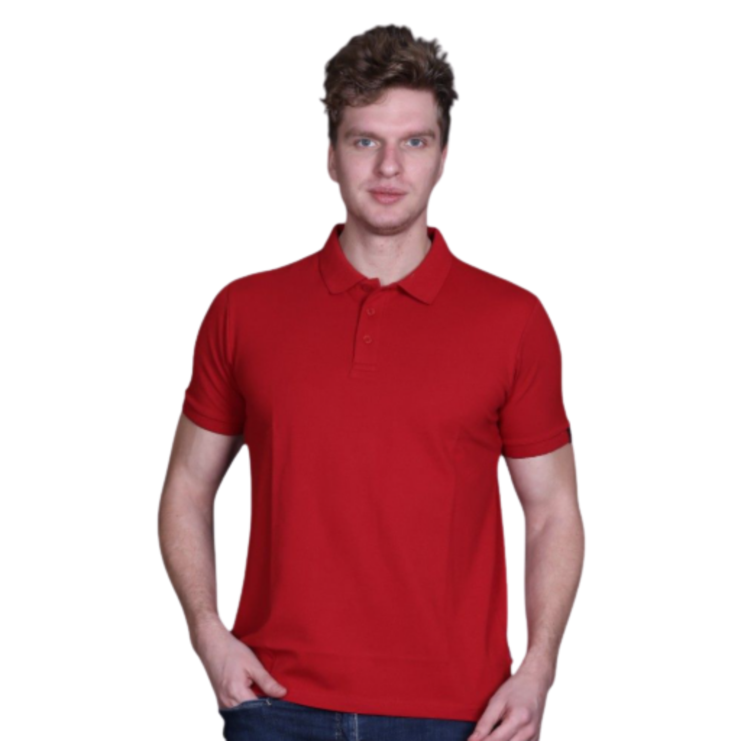 Indian Terrain Jacquard Collar Solid T-Shirt