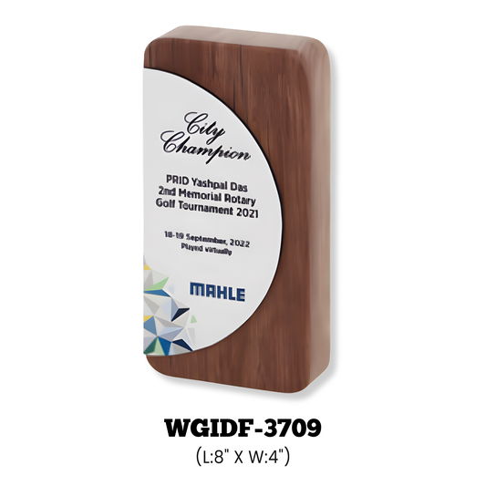 Momentos & Plaques-WGIDF-3709