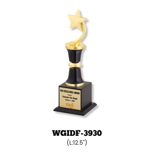 Star Trophies-WGIDF-3930