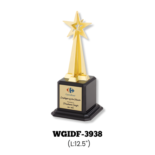 Star Trophies-WGIDF-3938