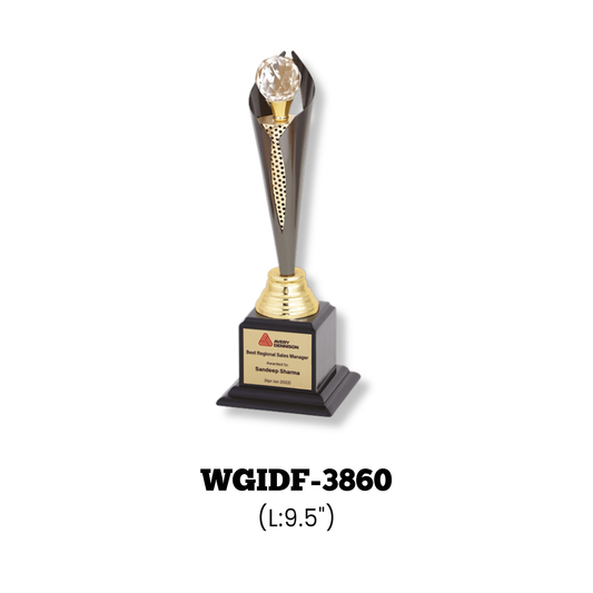 Trophies & Awards-WGIDF-3860