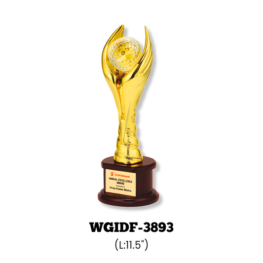 Trophies & Awards-WGIDF-3893